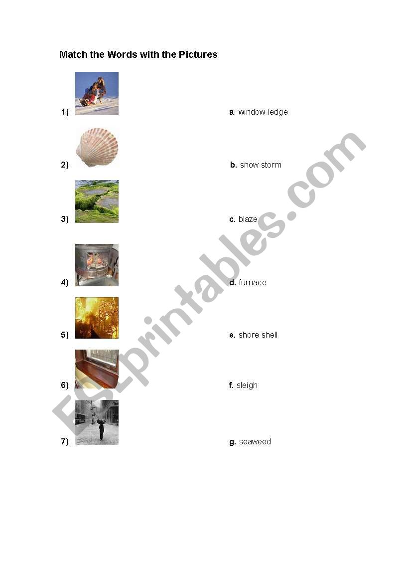 Vocabulary worksheet
