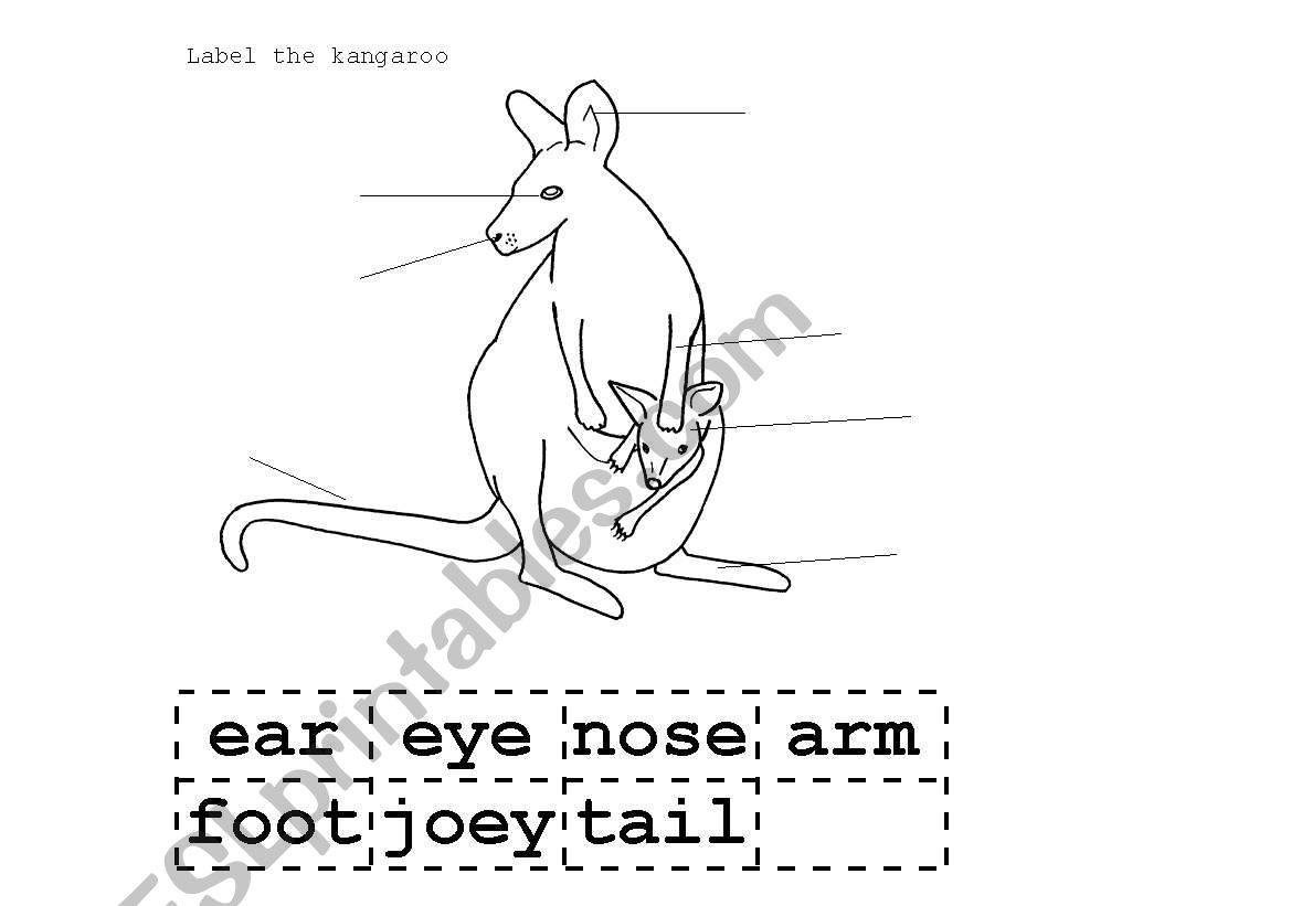 kangaroo label worksheet