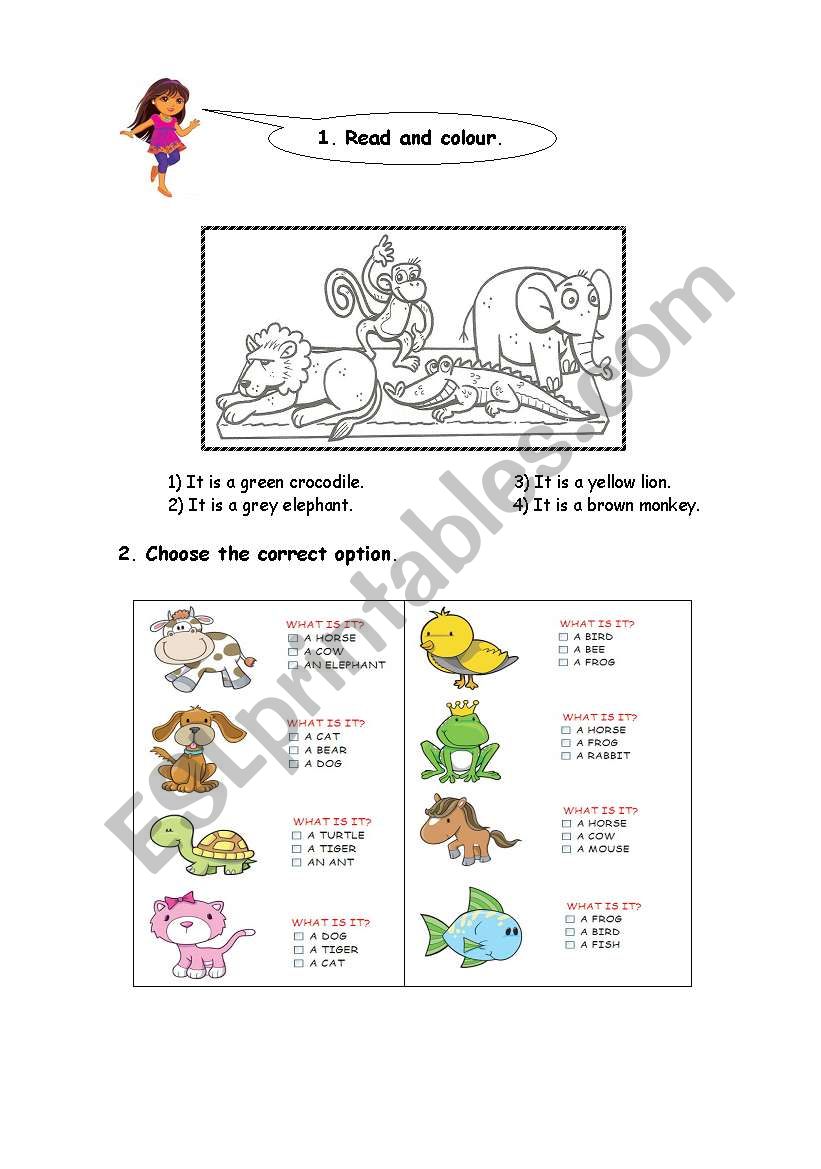 Animals worksheet