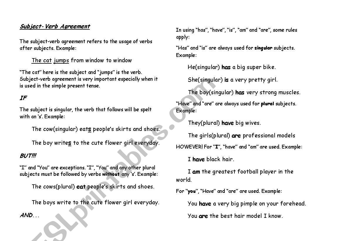 Subject-Verb Agreement Notes worksheet