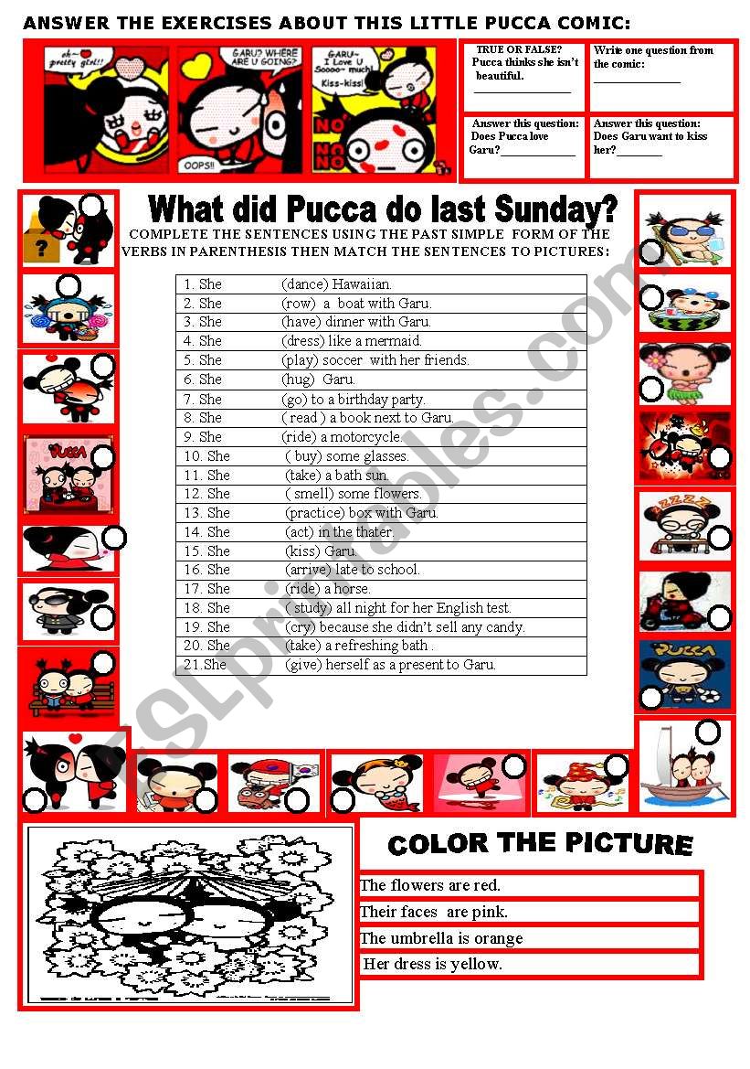 WHAT DID PUCCA DO LAST SUNDAY?