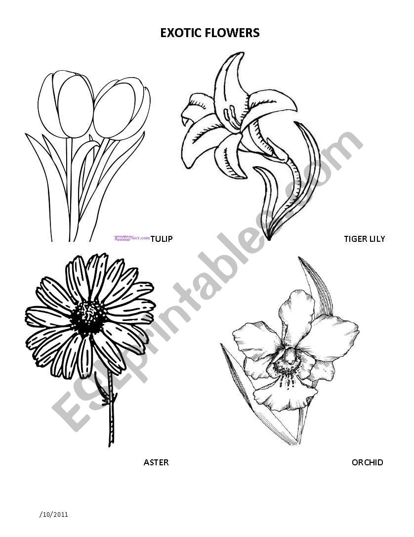 Flowers worksheet