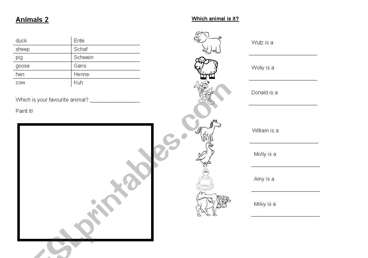 animals3 worksheet