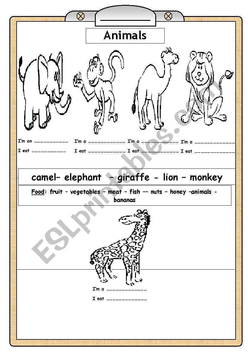 Animals worksheet