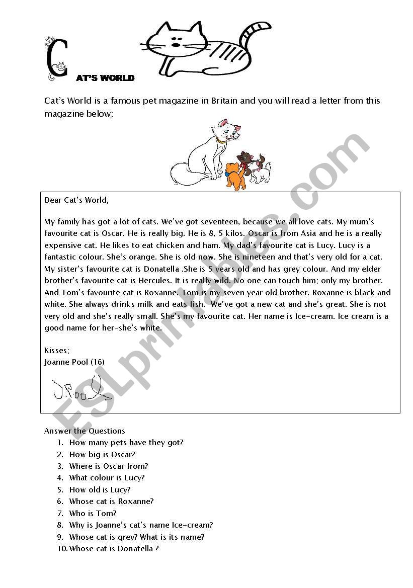 Cats World  worksheet