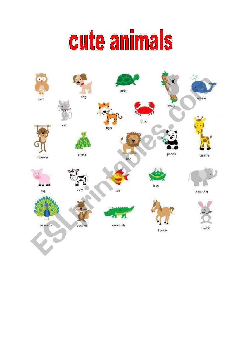 cute animals worksheet