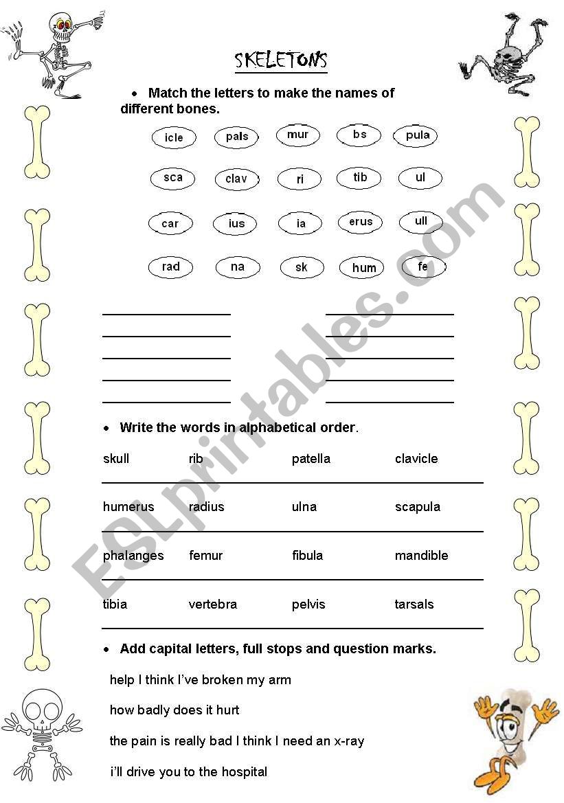 Skeletal System Literacy worksheet