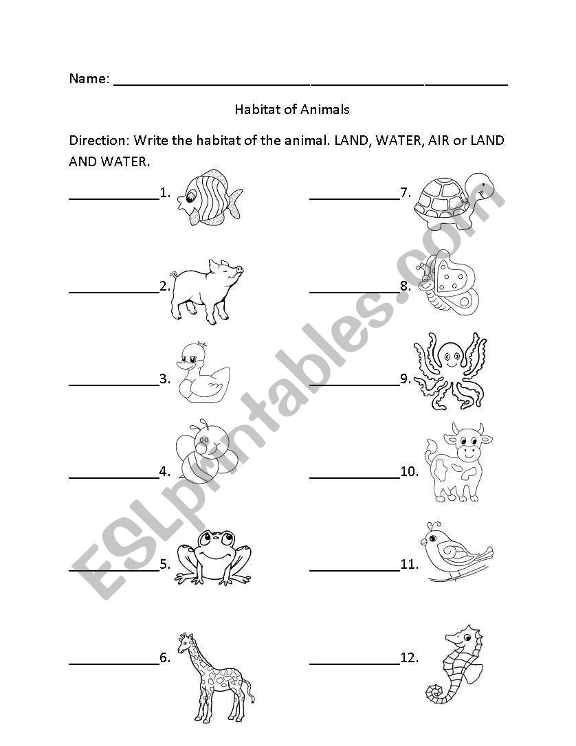 English worksheets: Habitat of Animals