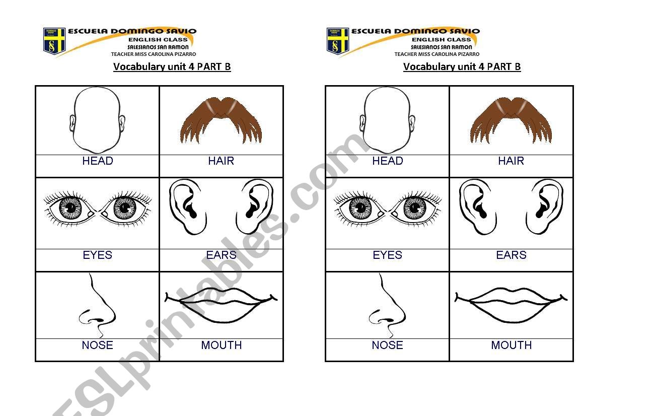 BODY FACE worksheet