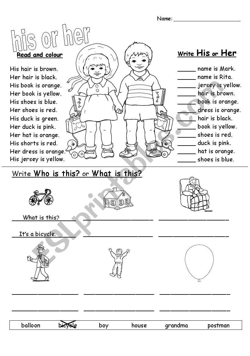 His Or Her ESL Worksheet By Mariapace85