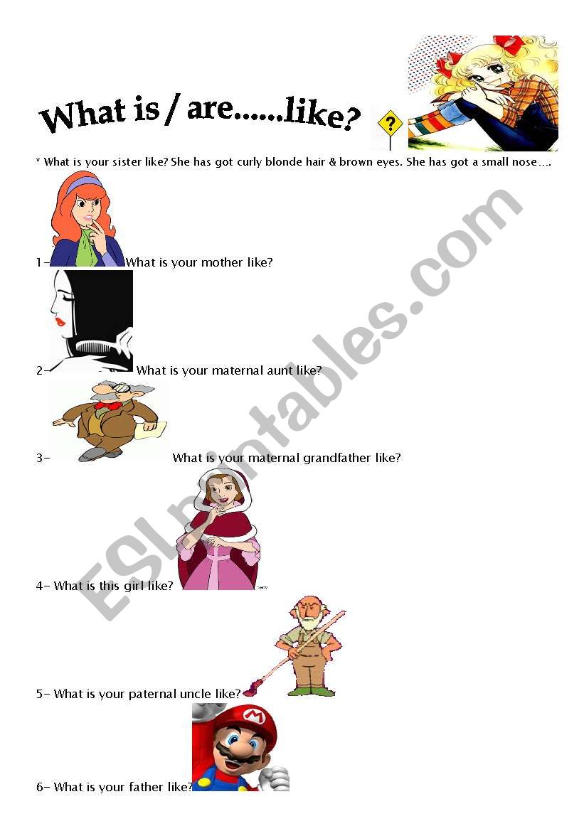 What is/ are .....like? worksheet