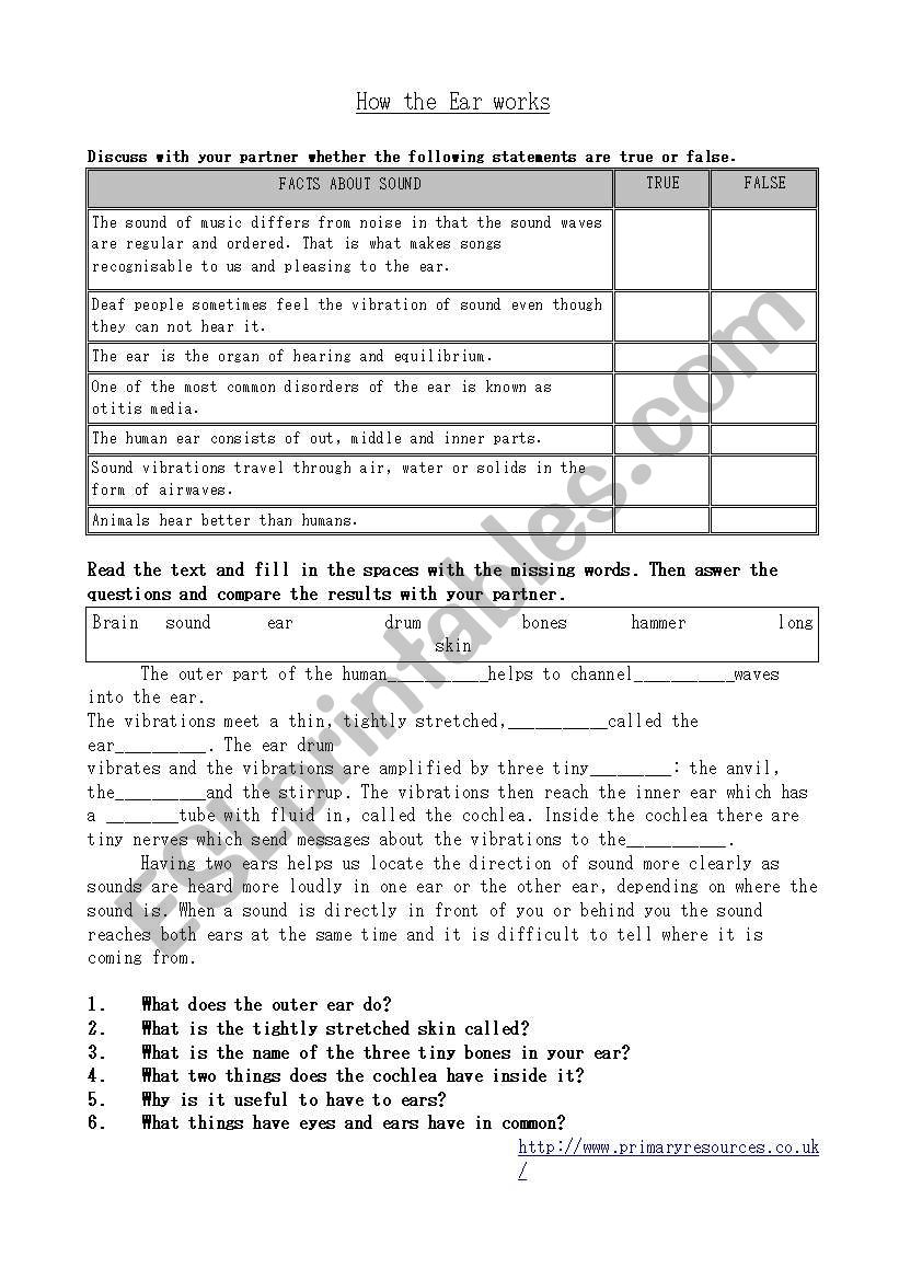 How the ear works worksheet