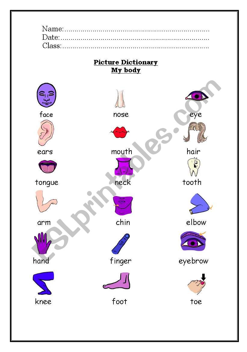 Picture Dictionary  worksheet