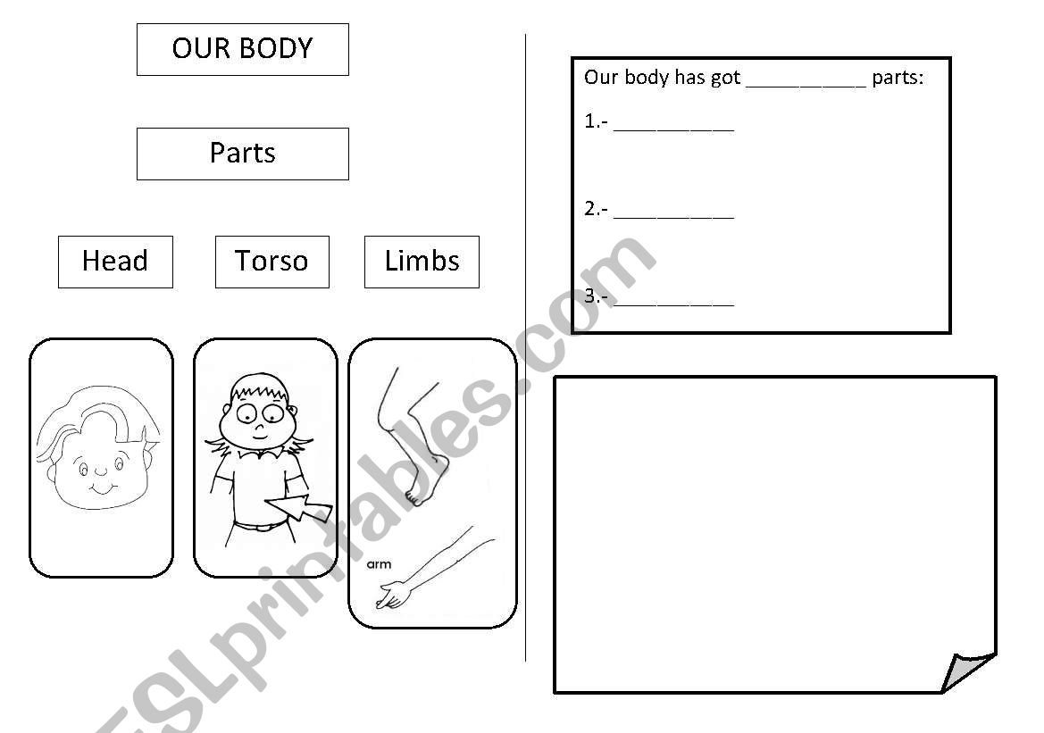 Esquema Our body worksheet