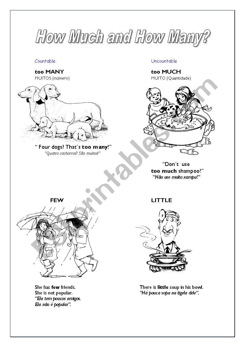 How much and How many? worksheet