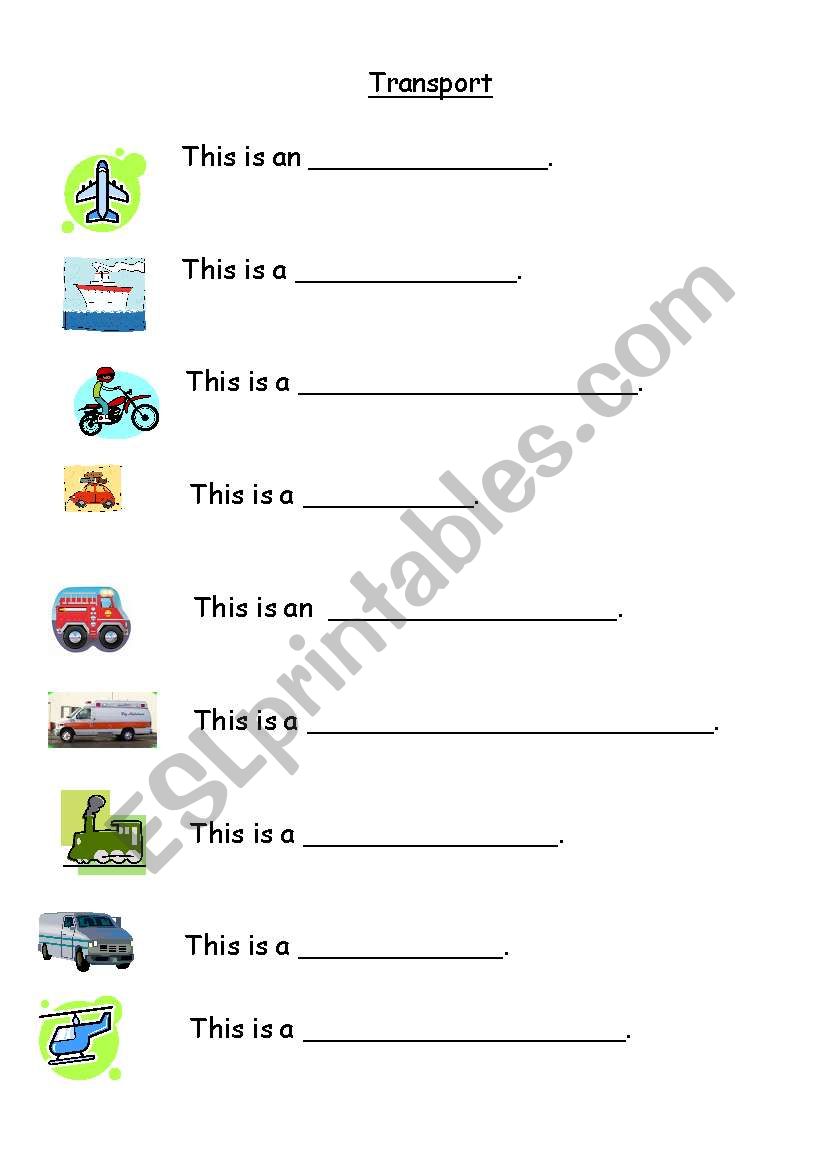 Transport worksheet