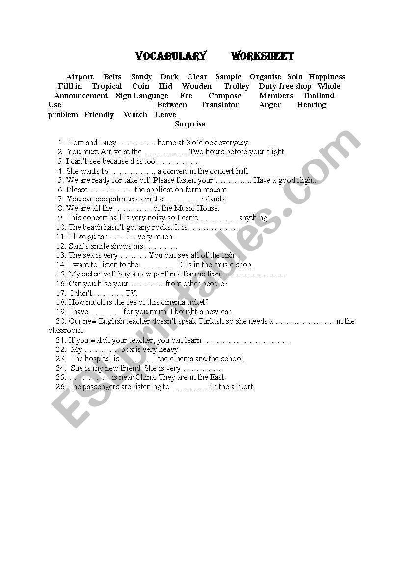 Vocabulary Worksheet worksheet