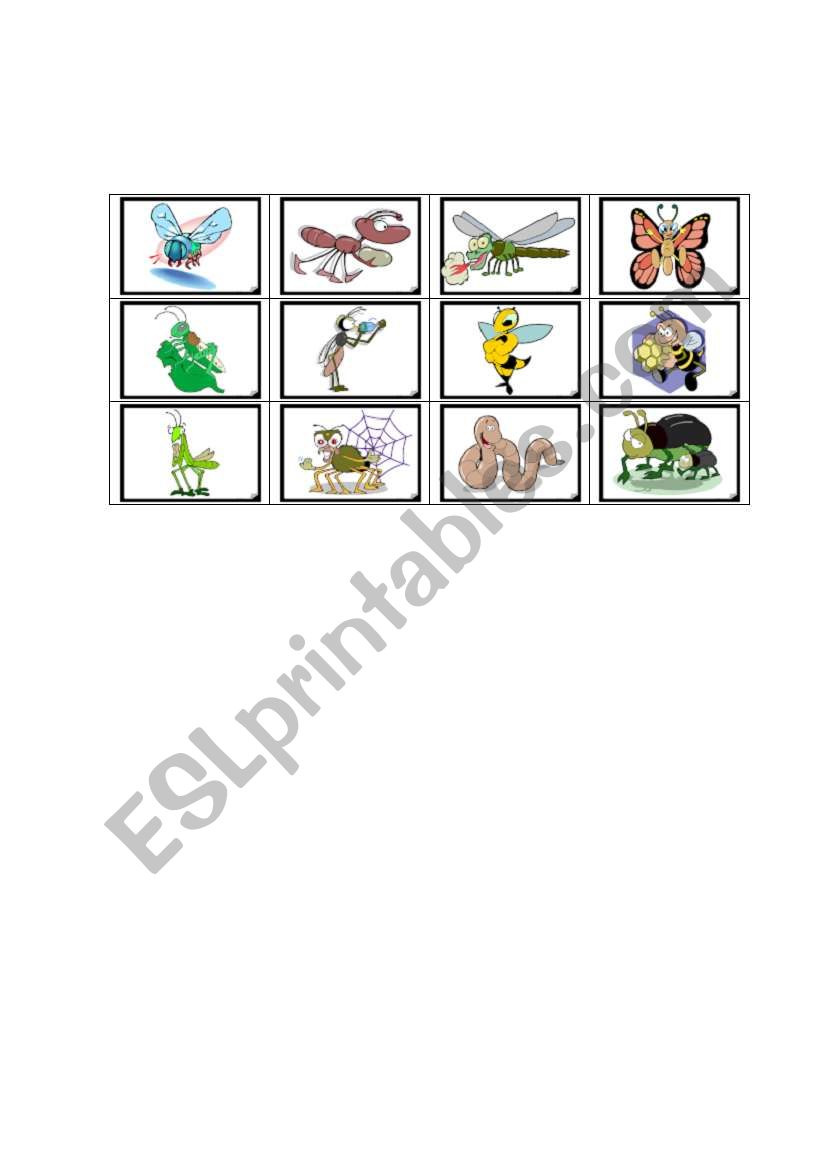 insect bingo worksheet