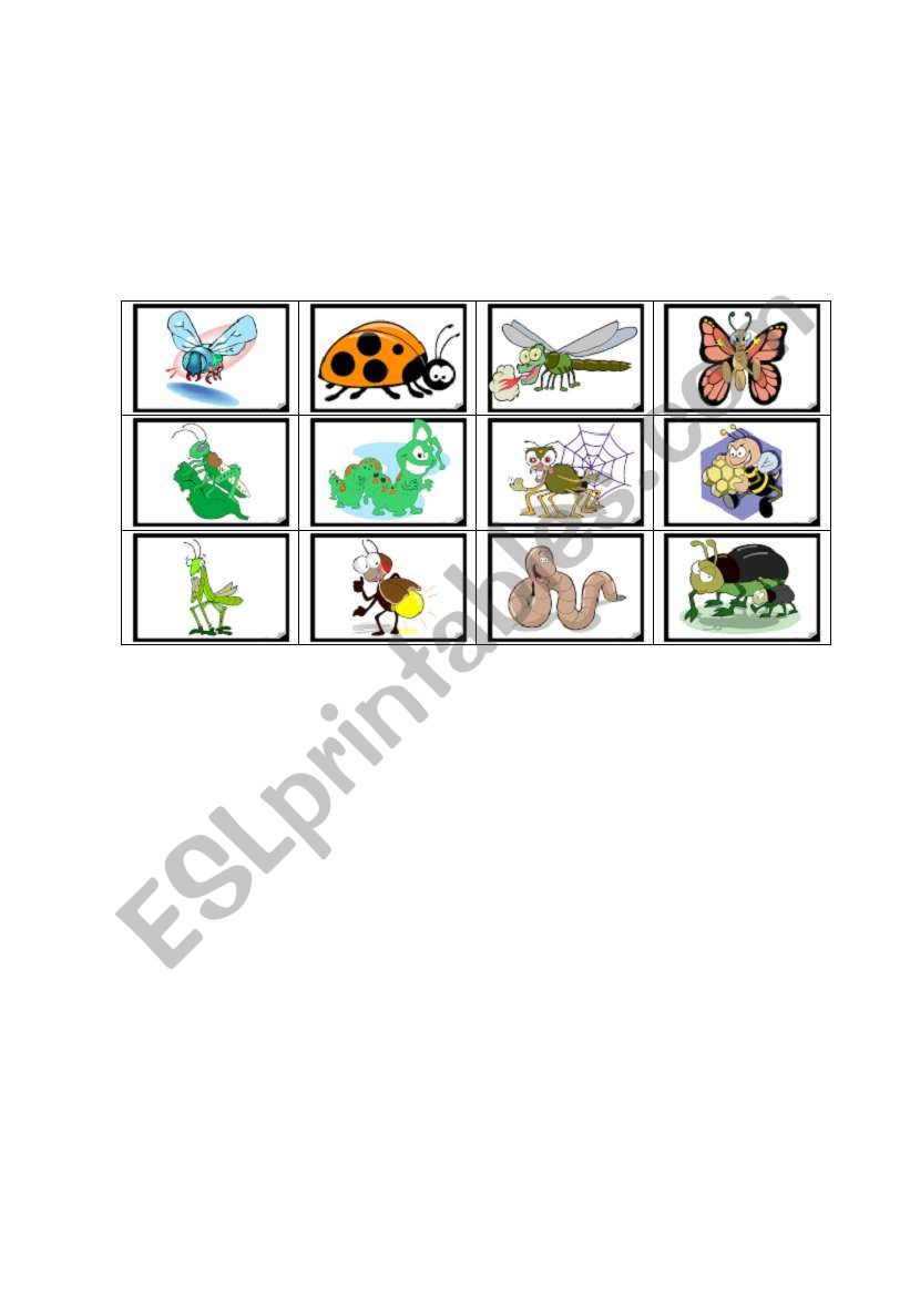 insect bingo worksheet