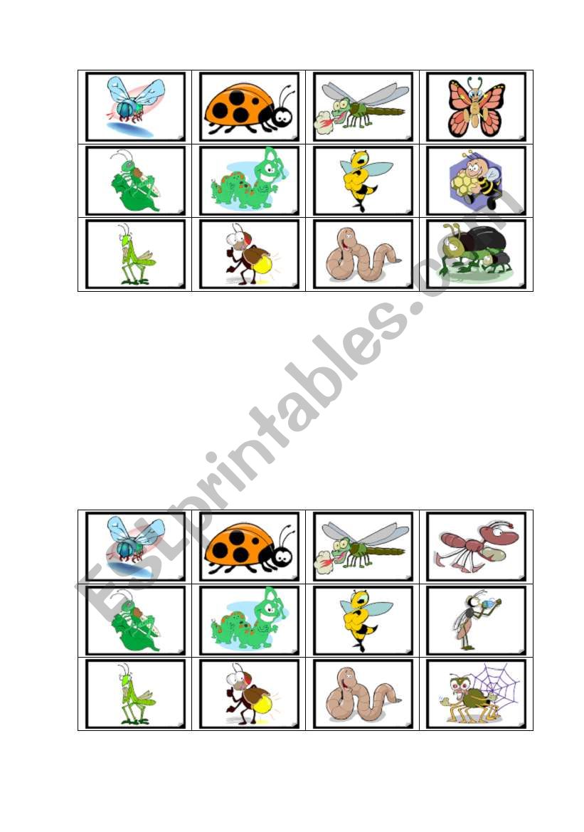 insect bingo worksheet