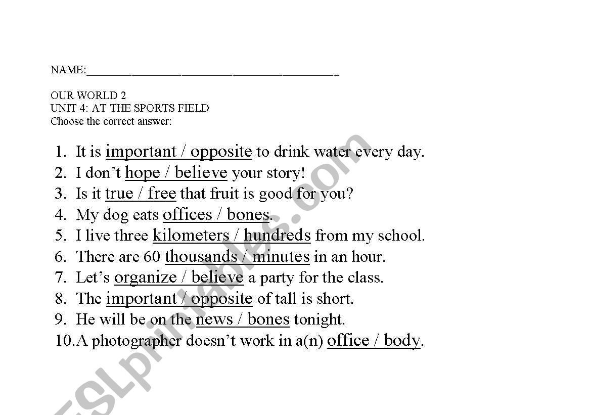 vocabulary worksheet