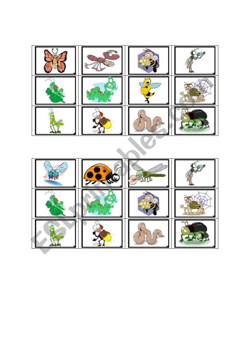 insect bingo worksheet