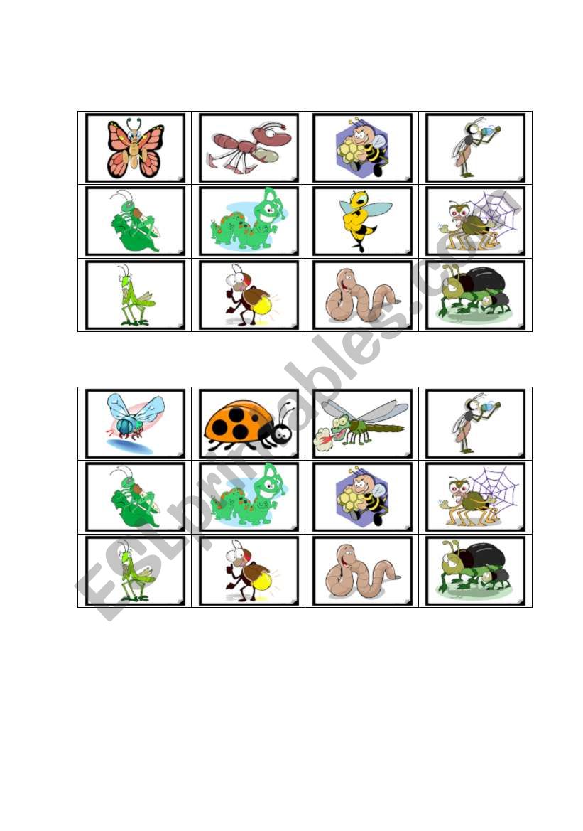 insect bingo worksheet