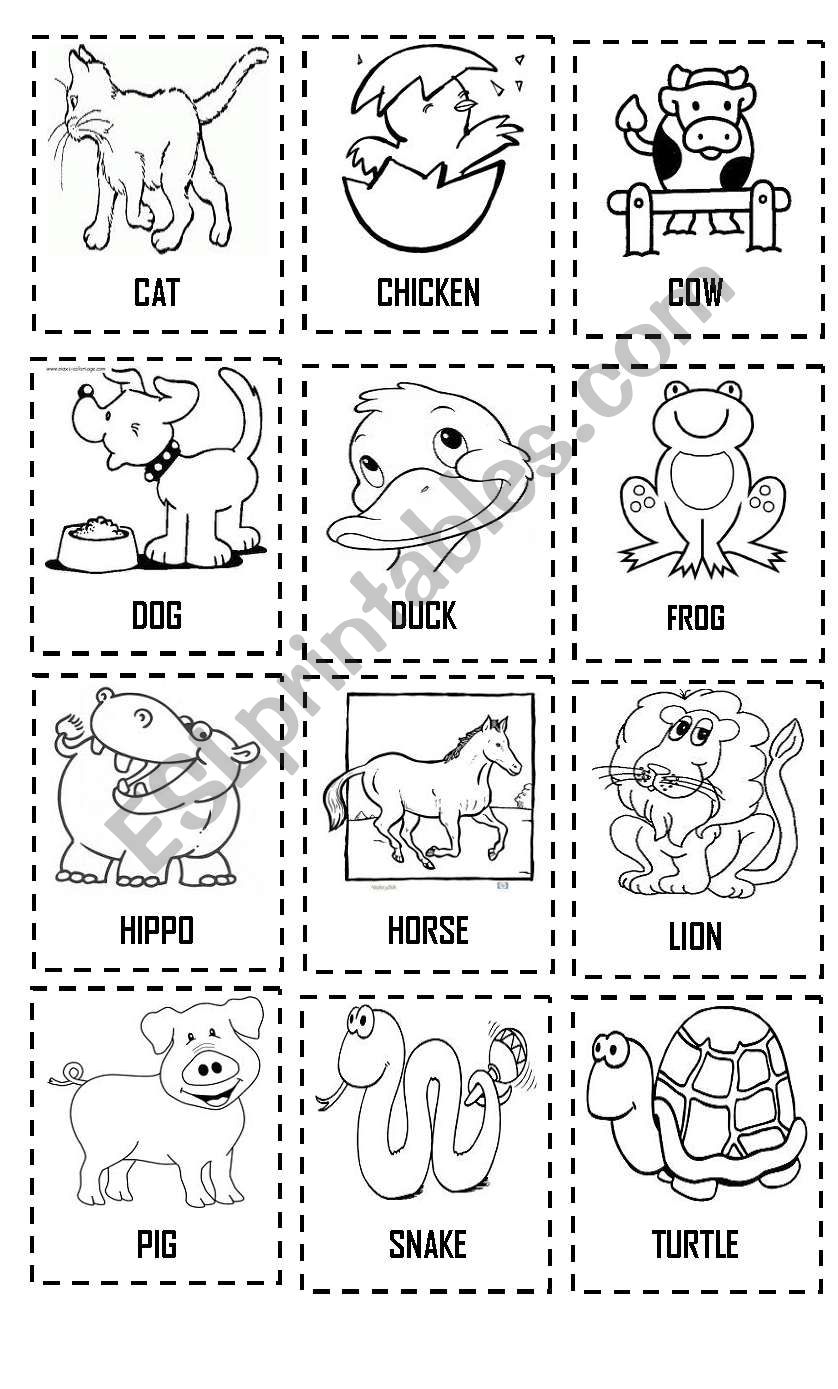 Animals Part 1 worksheet