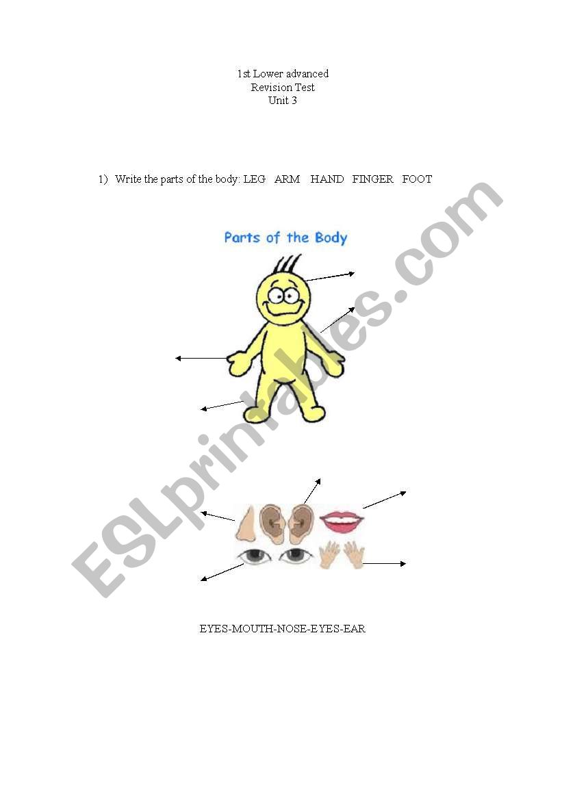 parts of the body worksheet