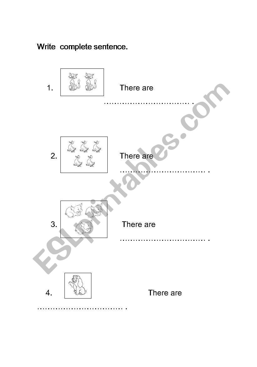 Animals worksheet