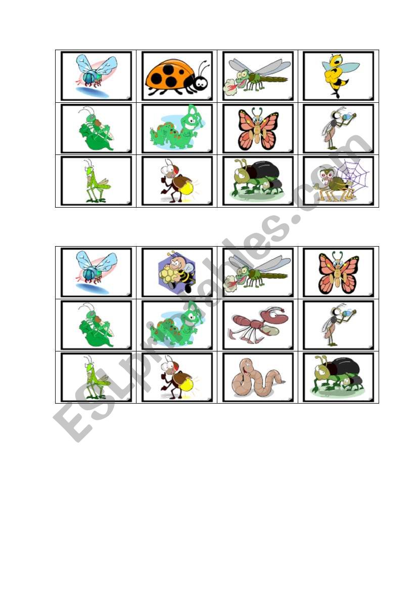 insect bingo worksheet