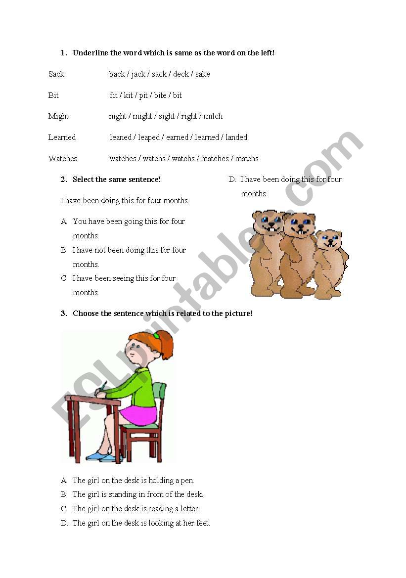 testing understanding worksheet