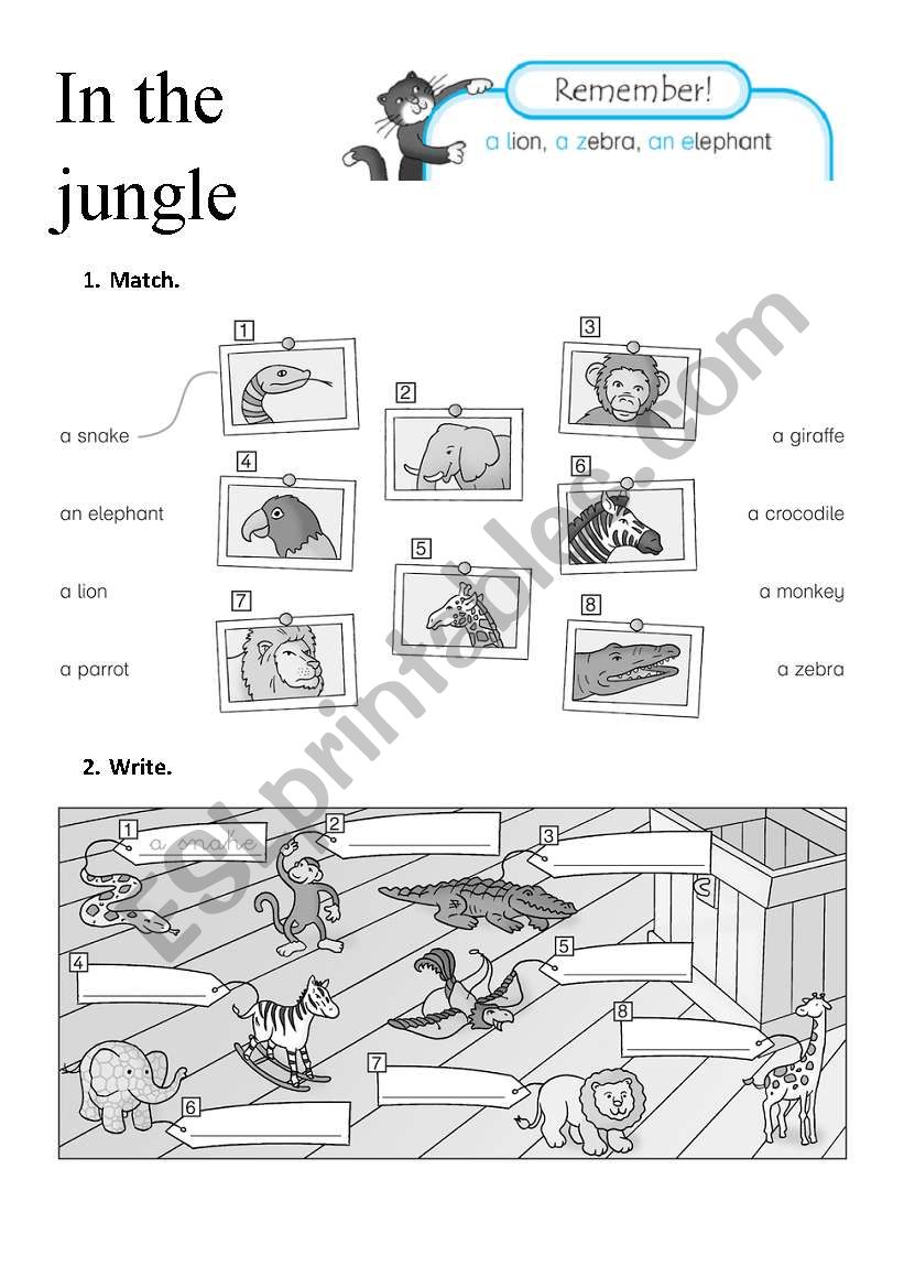 In the jungle worksheet