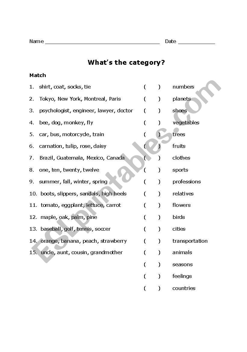 Whats the category? worksheet