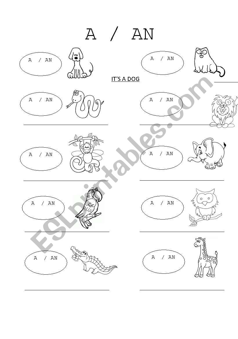 A/AN worksheet