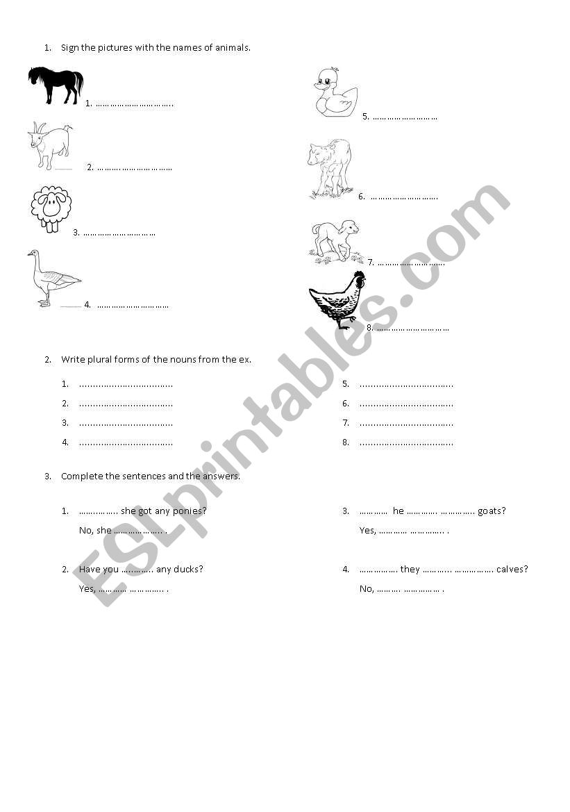 Animals nad plurals worksheet