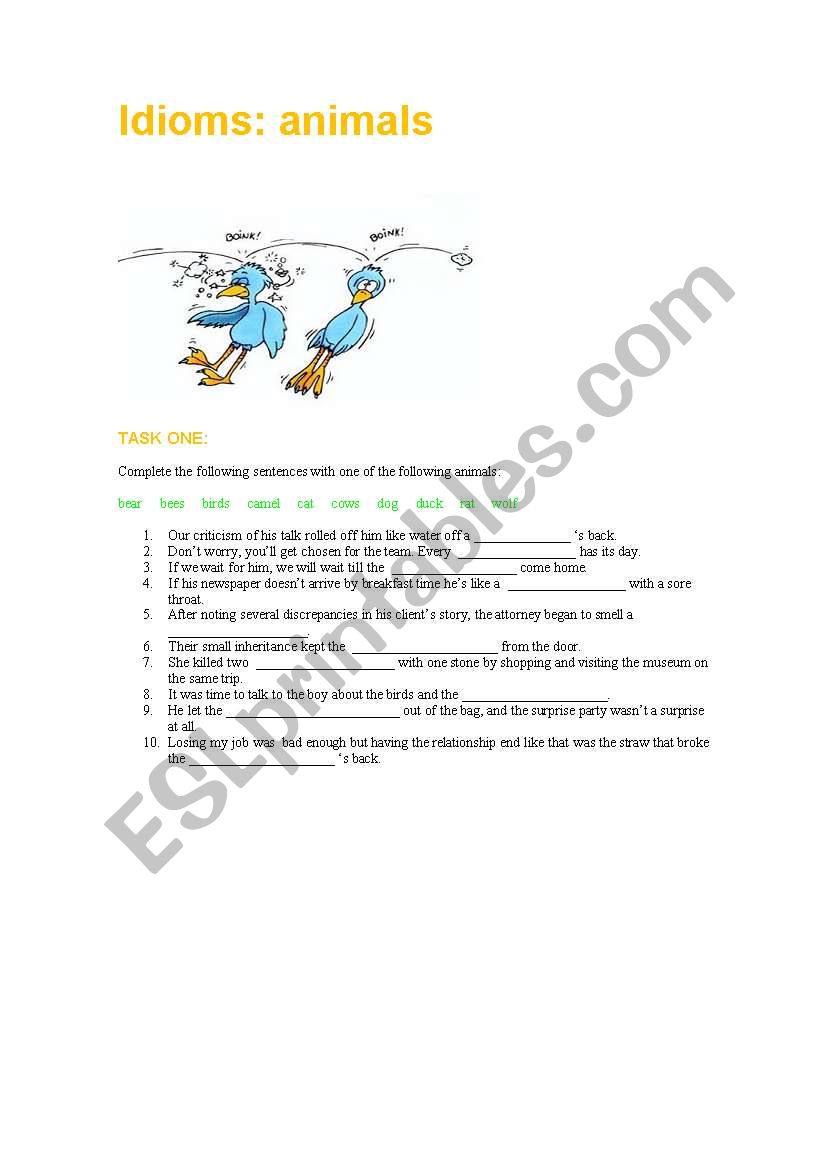 idioms: animals worksheet