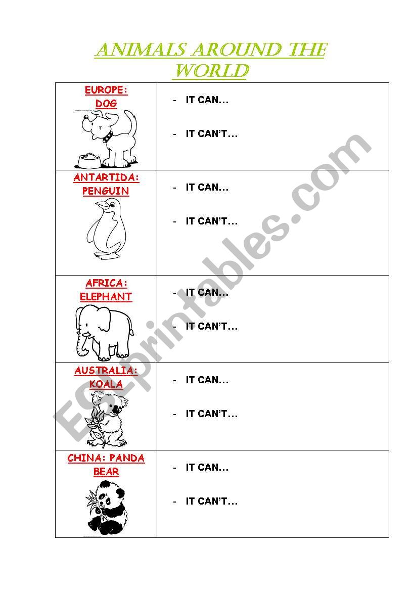 animals worksheet