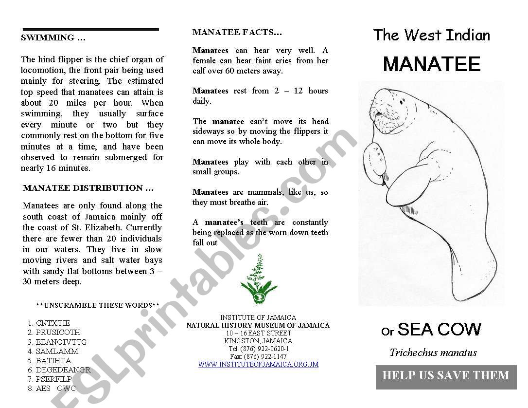 West Indian Manatee worksheet