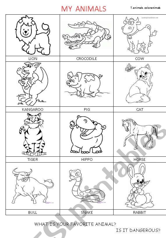 my animals worksheet