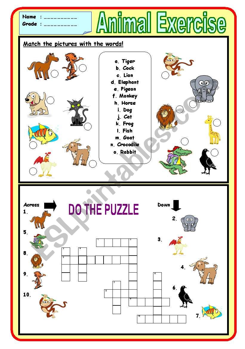 Animal Exercise worksheet