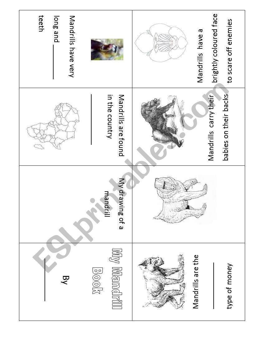 Mini-book on Mandrills worksheet