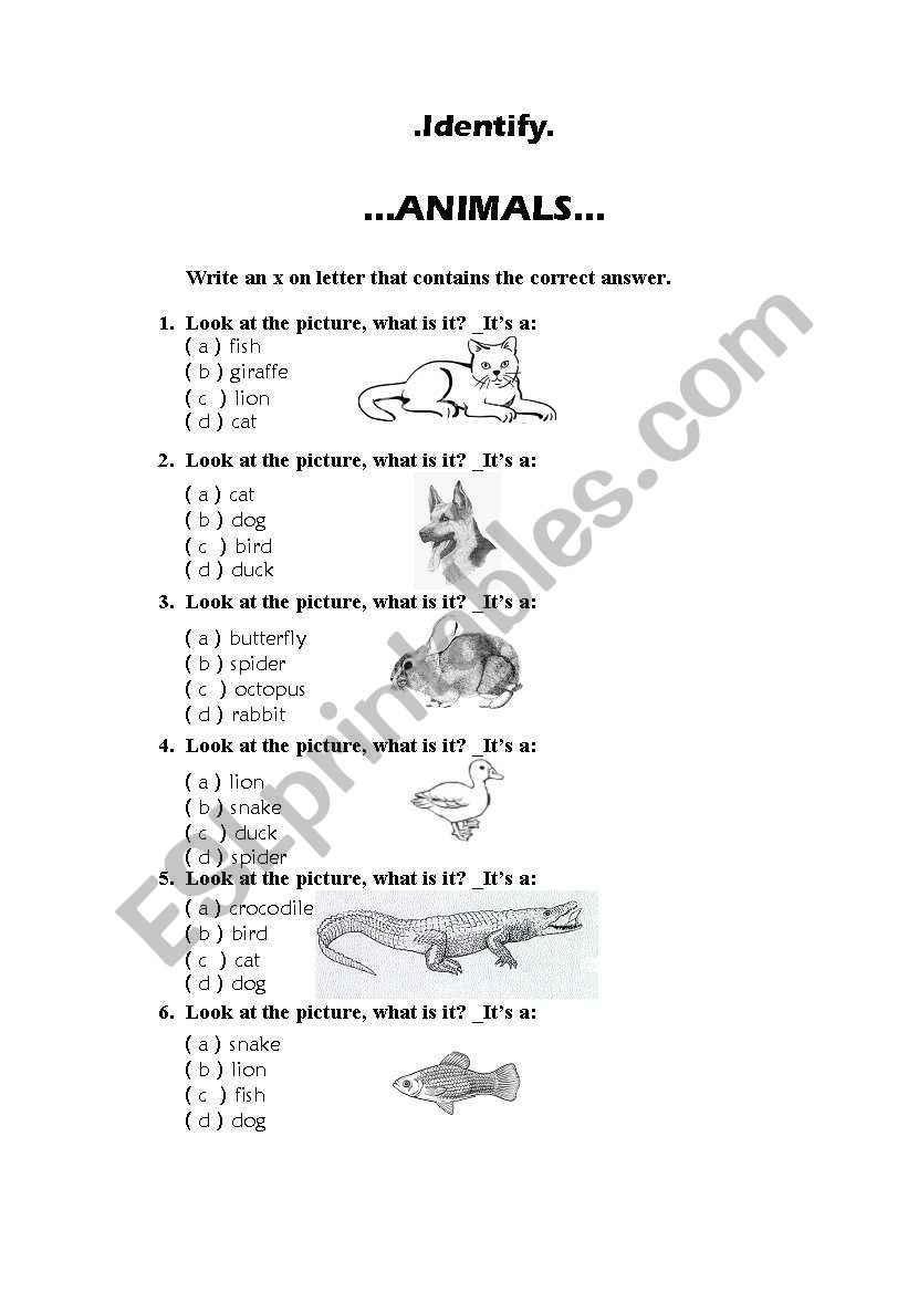 Identifying Animals, Part 1 worksheet