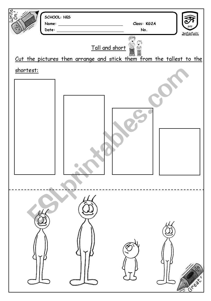 sizes worksheet