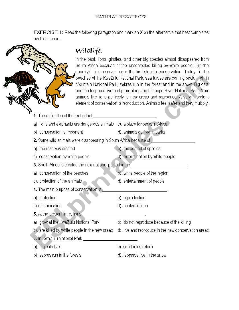 Natural Resources worksheet