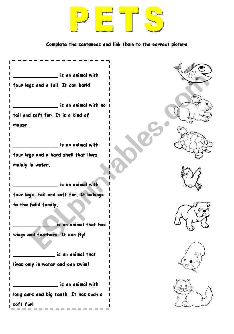 Pets worksheet