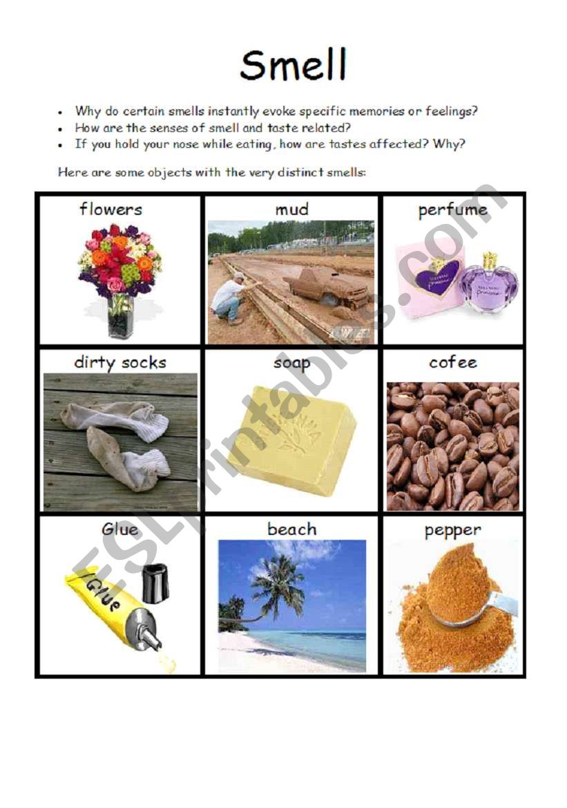 5 Senses Smell Worksheet