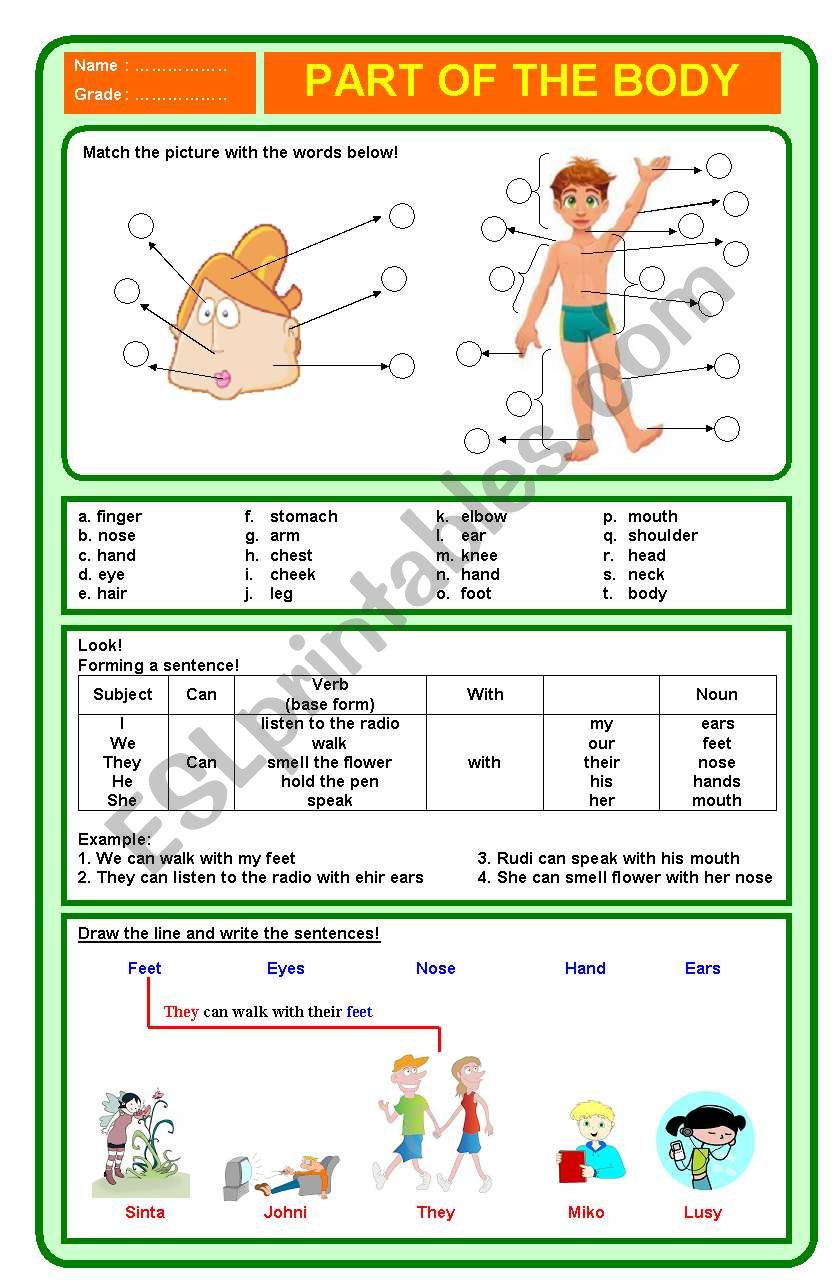 Part of the body exercise worksheet