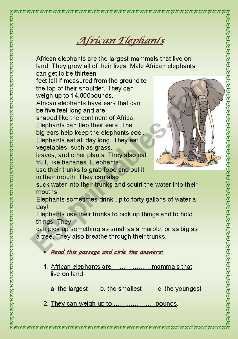 african elephants worksheet