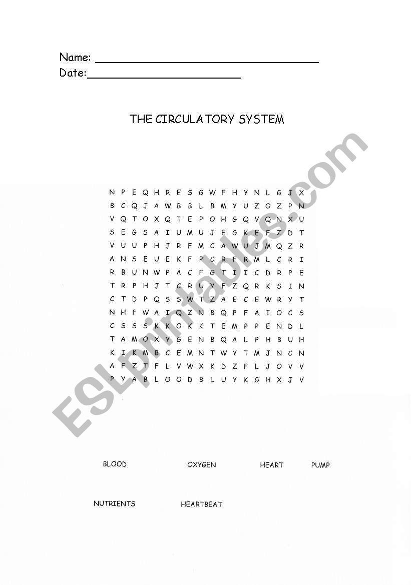 The Circulatory System Wordsearch